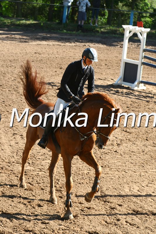 104M8957_Expositor_Spring M_m.Stechen.JPG